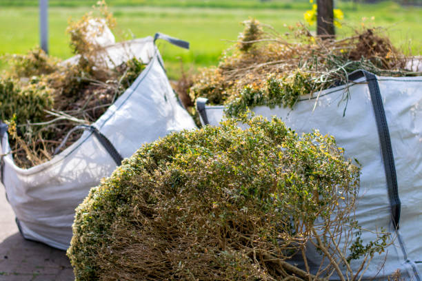 Debris Removal in New Sarpy, LA